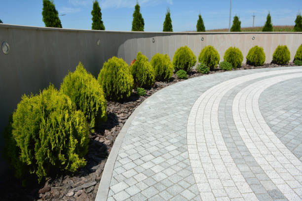 Best Residential Paver Driveway  in Wardsville, MO